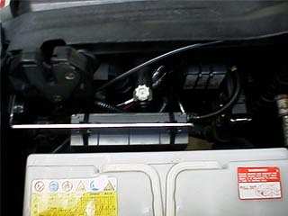 �����Œ�