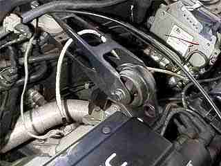 �w�b�h�A�[�X