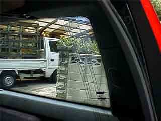 �t�B�����A���e�i